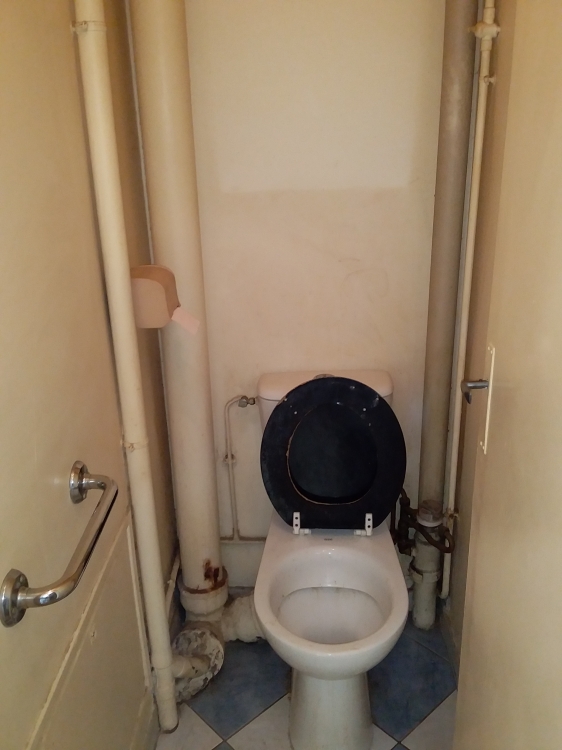 Rénovation Toilettes